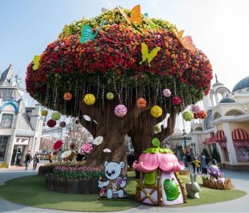 8D Korea Everland